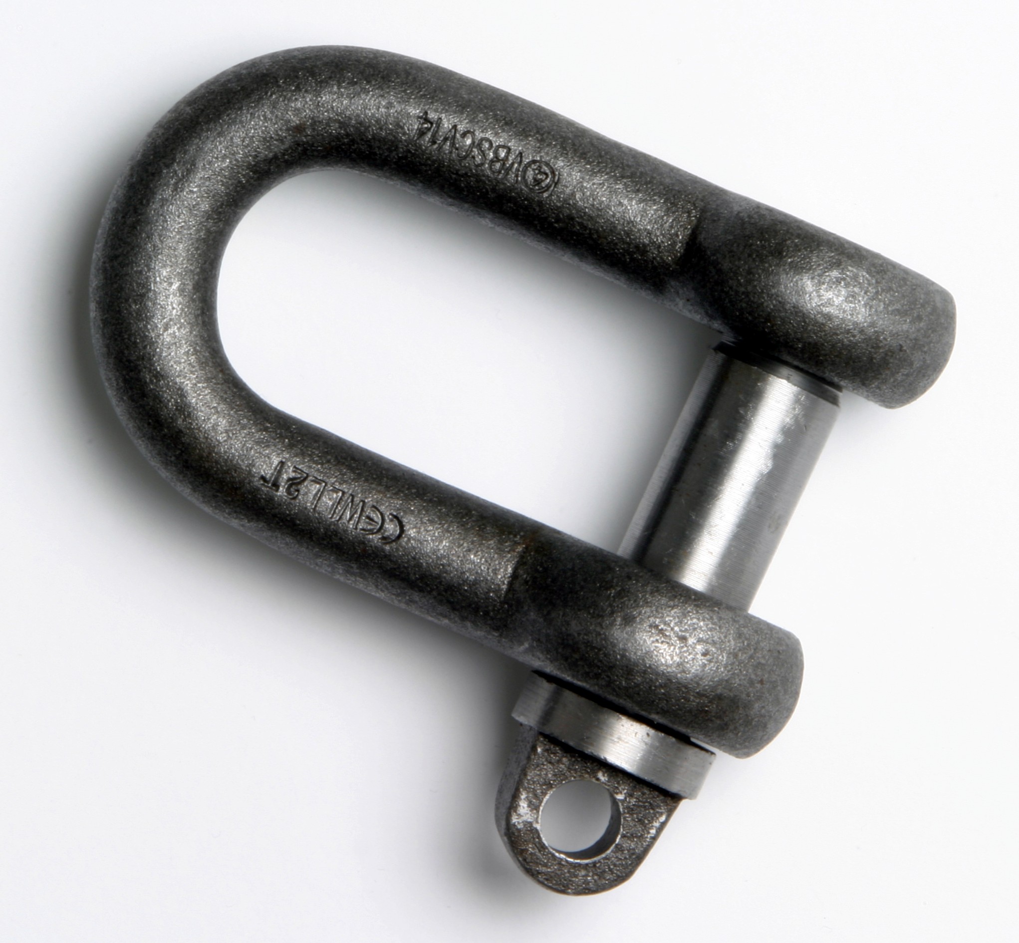 Large Dee shackle