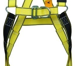 Safety Harness